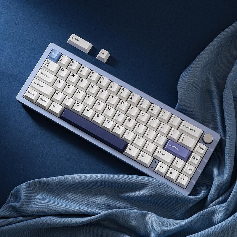 YUNZII AL66 Wireless Mechanical Keyboard, 65% Knob Control Aluminum Gaming Keyboard Bt/2.4G/Wired Hot Swappable, Gasket Mounted RGB Keyboard Metal Keyboard Mechanical Keyboard