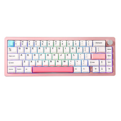 YUNZII AL66 Wireless Mechanical Keyboard, 65% Knob Control Aluminum Gaming Keyboard Bt/2.4G/Wired Hot Swappable, Gasket Mounted RGB Keyboard Metal Keyboard Mechanical Keyboard